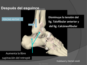 Esguince-de-Tobillo_y_Terapia-Manual-Ortopedica1