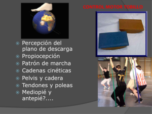 Esguince-de-Tobillo_y_Terapia-Manual-Ortopedica3