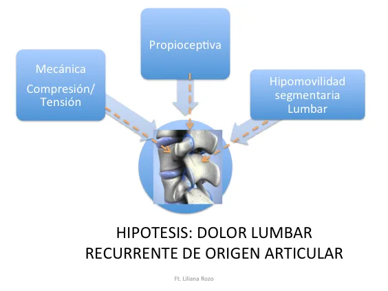Liliana Rozo - Articulo -DolorLumbarOrigenArticular