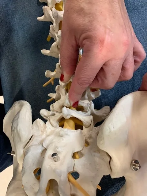 Curso de Manipulación Avanzada de la Pelvis y Columna Lumbar. Santiago, mayo 2019