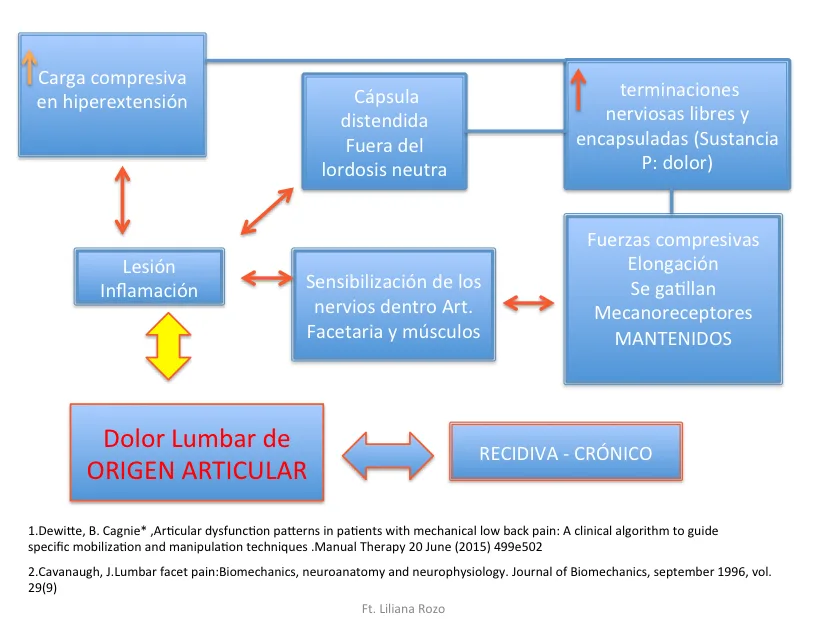Liliana Rozo - Articulo -DolorLumbarOrigenArticular