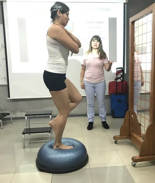 Magíster en Terapia Manual, Integración Clínica de Extremidades. Concepción, noviembre 2017