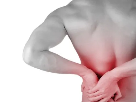 Dolor Lumbar de Origen Articular - Parte I