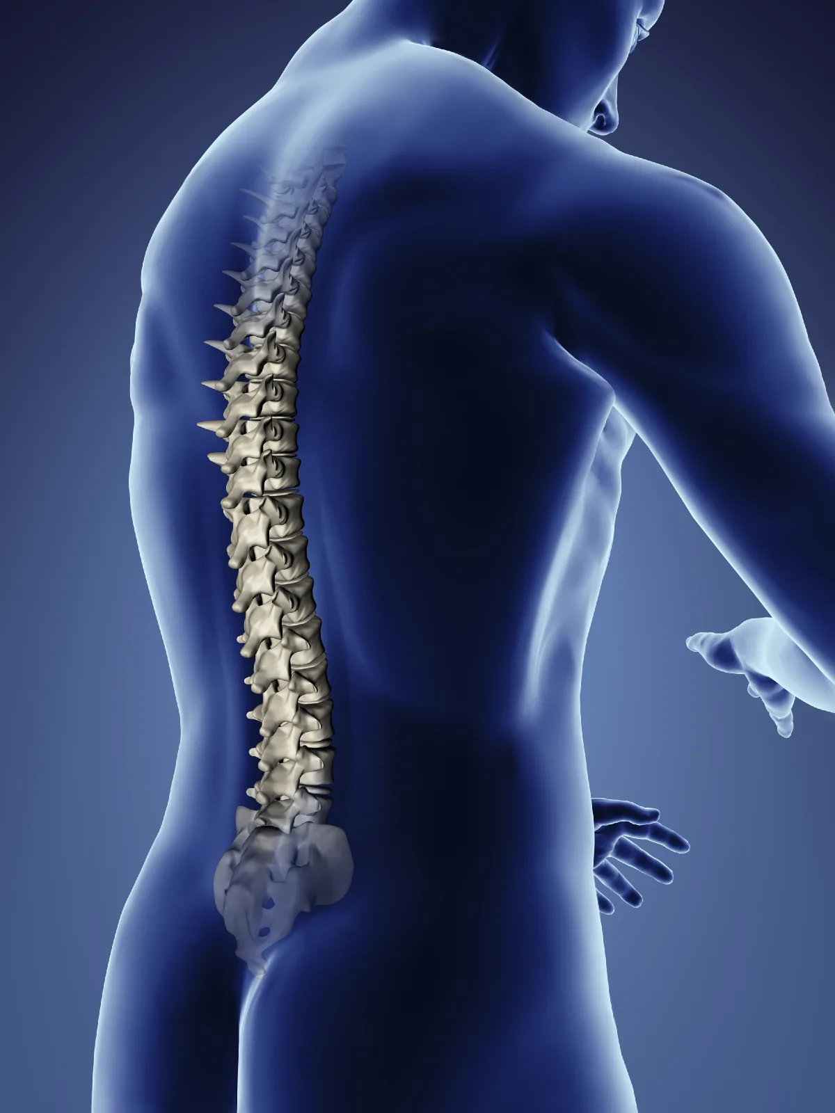 Beneficios de la kinesiologia en la salud de la columna vertebral