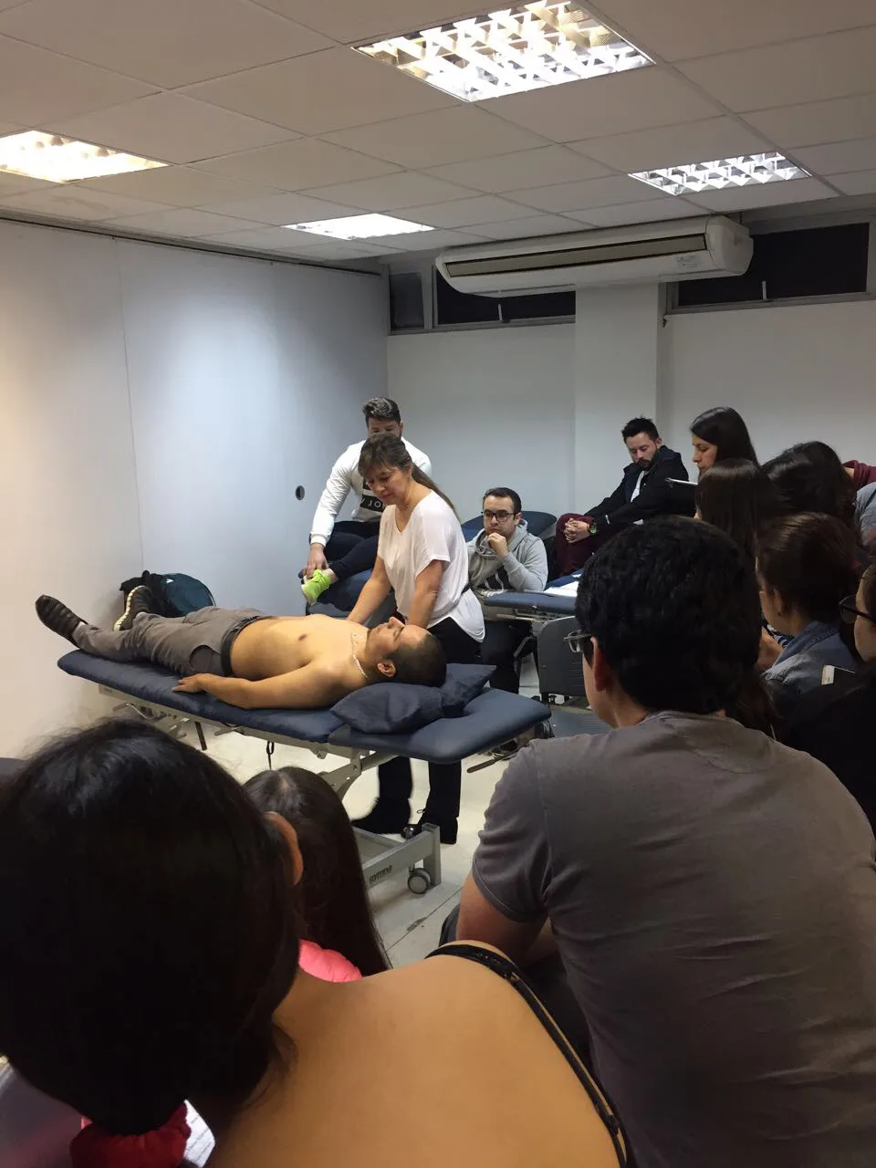 Evaluación e Integración de Extremidades. Santiago, Chile, octubre 2017